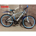 26′′ MTB Mountainbike mit variabler Geschwindigkeit (LY-A-065)